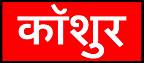 Kashmiri