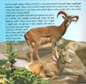 Die Tierwelt Irans, auf dem Lande