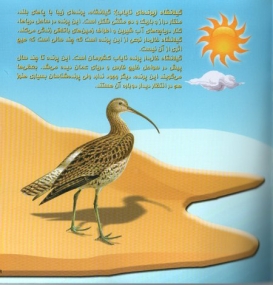 Die Tierwelt Irans, V�gel