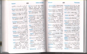 Concise Illustrated Dictionary: Eng-Eng-Urdu