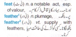 Concise Illustrated Dictionary: Eng-Eng-Urdu