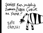Şehire kar yağdığı zaman zebra �ubuk ne yapar?