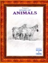 Study of  Animals