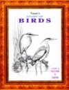 Study of  Birds