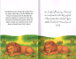 Preview: Aesop's Fables in Urdu und Roman