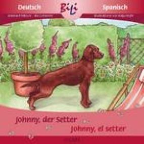 Johnny, der Setter/Johnny, el setter irlandés