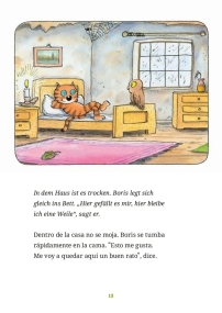 Boris der Kater – Das Badewannenauto - Kinderbuch in Deutsch und Spanisch