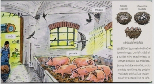 Pappbilderbuch -Tiere im Dorf und wofür sie nützlich sind