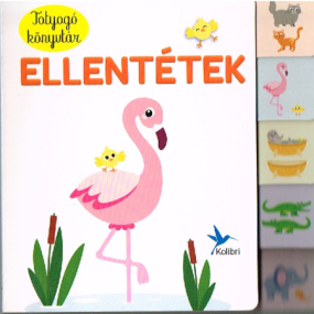 Pappbilderbuch zum Thema Gegensätze in Ungarisch