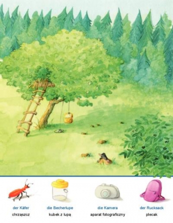 Im Wald - Deutsch-Polnisches Kinderbuch