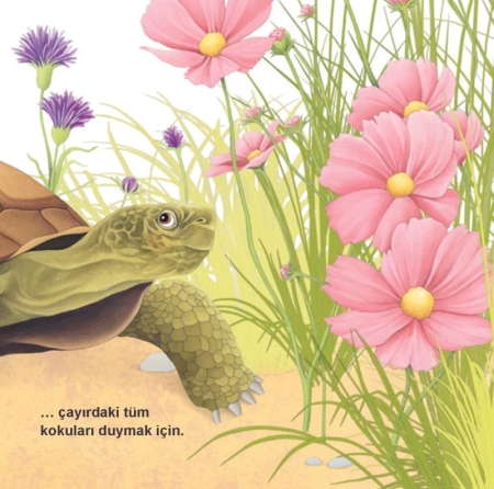Sehr, sehr langsam! - Deutsch-Türkisch mit MP3-Hörbuch zum Herunterladen