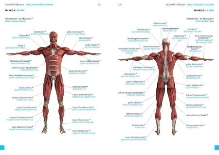 Wörterbuch Medizin Deutsch-Ukrainisch, Ukrainisch-Deutsch