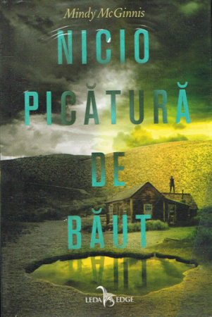 Young Adult Roman von Mindy Mcginnis - Rumänische Ausgabe