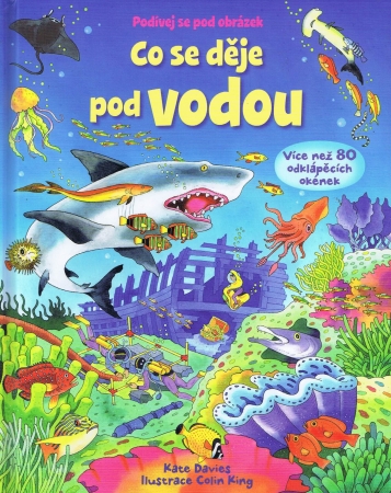 Tschechisches Bilderbuch über Meerestiere