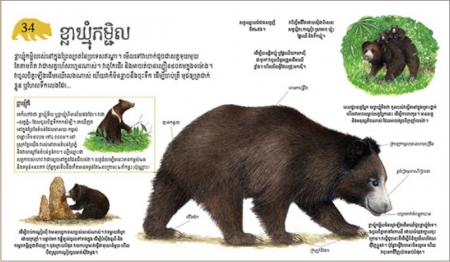 Tierbilderbuch in Khmer (Kambodschanisch)